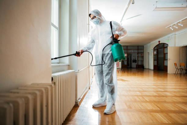 Best Residential Pest Control  in Ridgway, CO